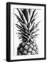 Pinapple Black a White 03-1x Studio III-Framed Photographic Print