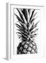 Pinapple Black a White 03-1x Studio III-Framed Photographic Print