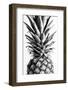 Pinapple Black a White 03-1x Studio III-Framed Photographic Print