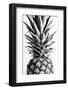 Pinapple Black a White 03-1x Studio III-Framed Photographic Print