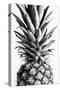 Pinapple Black a White 03-1x Studio III-Stretched Canvas