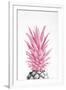 Gramercy White