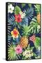 Pinapple-The Tropic Vibe-Framed Stretched Canvas