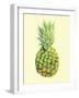 Pinapple-Heaven on 3rd-Framed Art Print