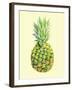 Pinapple-Heaven on 3rd-Framed Art Print