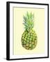 Pinapple-Heaven on 3rd-Framed Art Print