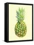 Pinapple-Heaven on 3rd-Framed Stretched Canvas