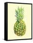 Pinapple-Heaven on 3rd-Framed Stretched Canvas