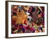 Pinatas, Market, Xochimilco, Mexico City, Mexico, North America-Wendy Connett-Framed Photographic Print