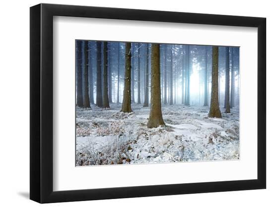 Premium Photographic Print, , large