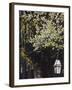 Pinckney Street, Beacon Hill, Boston, Massachusetts, USA-Walter Bibikow-Framed Photographic Print