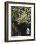 Pinckney Street, Beacon Hill, Boston, Massachusetts, USA-Walter Bibikow-Framed Photographic Print