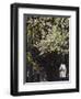 Pinckney Street, Beacon Hill, Boston, Massachusetts, USA-Walter Bibikow-Framed Photographic Print