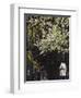 Pinckney Street, Beacon Hill, Boston, Massachusetts, USA-Walter Bibikow-Framed Photographic Print