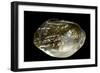 Pinctada Sp. (Pearl Oyster)-Paul Starosta-Framed Photographic Print