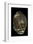 Pinctada Sp. (Pearl Oyster)-Paul Starosta-Framed Photographic Print