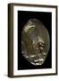 Pinctada Sp. (Pearl Oyster)-Paul Starosta-Framed Photographic Print