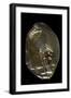 Pinctada Sp. (Pearl Oyster)-Paul Starosta-Framed Photographic Print