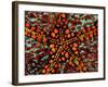 Pincushion Starfish (Culcita Novaeuineae)-Andrea Ferrari-Framed Photographic Print