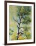 Pine Abstract-Marion Rose-Framed Giclee Print