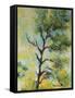 Pine Abstract-Marion Rose-Framed Stretched Canvas