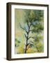 Pine Abstract-Marion Rose-Framed Giclee Print