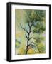 Pine Abstract-Marion Rose-Framed Giclee Print