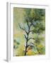 Pine Abstract-Marion Rose-Framed Giclee Print