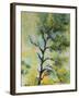 Pine Abstract-Marion Rose-Framed Giclee Print