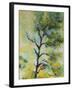 Pine Abstract-Marion Rose-Framed Giclee Print