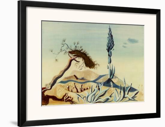 Pine and Cypress-Richard Seewald-Framed Art Print