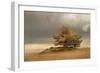 Pine and Dunes-Nel Talen-Framed Giclee Print
