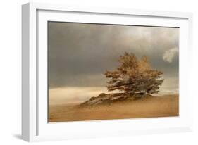 Pine and Dunes-Nel Talen-Framed Giclee Print