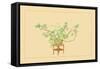 Pine and Rose-Sofu Teshigahara-Framed Stretched Canvas