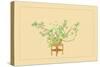 Pine and Rose-Sofu Teshigahara-Stretched Canvas
