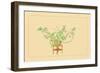 Pine and Rose-Sofu Teshigahara-Framed Art Print