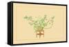 Pine and Rose-Sofu Teshigahara-Framed Stretched Canvas