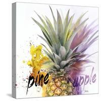 Pine-Apple-Michael Tarin-Stretched Canvas