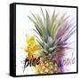 Pine-Apple-Michael Tarin-Framed Stretched Canvas