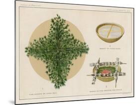 Pine Boughs on Sand Bed, Basket of Yucca Suds, Basket of Pine Needles and Corals-null-Mounted Giclee Print