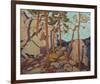 Pine Cleft Rocks-Tom Thomson-Framed Giclee Print