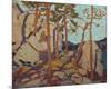 Pine Cleft Rocks-Tom Thomson-Mounted Giclee Print