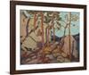 Pine Cleft Rocks-Tom Thomson-Framed Giclee Print