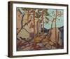 Pine Cleft Rocks-Tom Thomson-Framed Giclee Print