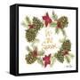 Pine Cone Christmas Wreath I-Gina Ritter-Framed Stretched Canvas