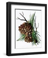 pine cone copy brochure-Debbi Wetzel-Framed Premium Giclee Print