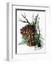 pine cone copy brochure-Debbi Wetzel-Framed Premium Giclee Print