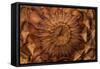 Pine Cone II-Kathy Mahan-Framed Stretched Canvas