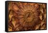 Pine Cone II-Kathy Mahan-Framed Stretched Canvas