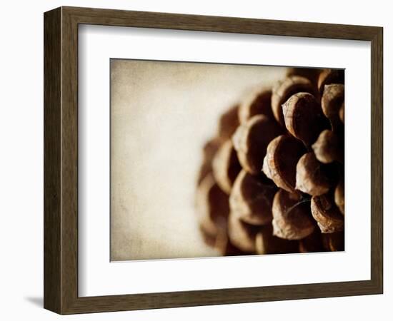 Pine Cone-Jessica Rogers-Framed Giclee Print